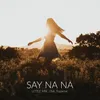 About Say Na Na Song